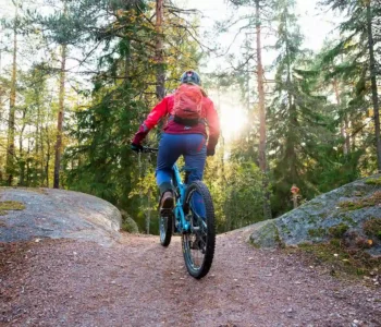 Finland_Nuuksio_National_Park_1